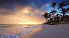 palm trees line the beach as the sun sets over the water and clouds in the sky