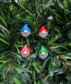 three little gnomes are sitting in the leaves of a tree, wearing colorful hats