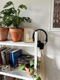 two potted plants sit on top of a shelf next to books and headphones