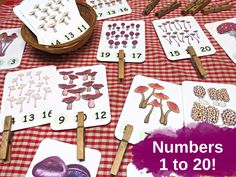 numbers 1 to 20 with mushrooms and mushrooms on them are laid out on a table