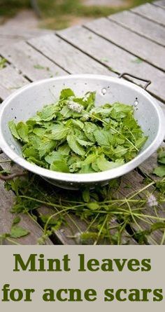 Mint Leaves Benefits for acne scars: Let us check a super duper acne curing mint recipe now. Mint Recipes, Acne Remedies, Skin Remedies, Beauty Advice, How To Get Rid Of Acne, Super Duper, Acne Skin