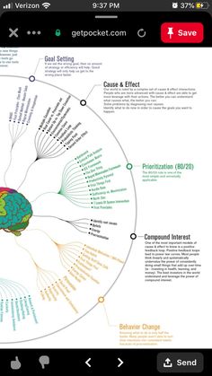 a cell phone showing the brain and its functions