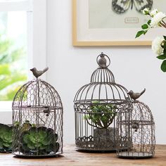 two bird cages with plants in them sitting on a table next to a vase filled with flowers