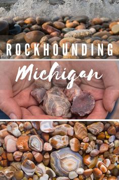 rocks and shells with the words rockhounding michigan written in white on top