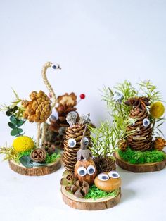 three pine cones with fake eyes are sitting in the grass and some other items have been made out of them