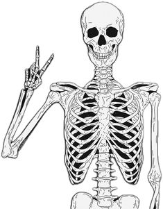 a skeleton is shown in black and white with one hand up to the other side