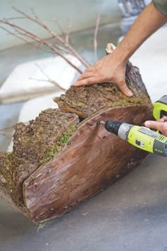 a person using a power drill to cut down a tree trunk