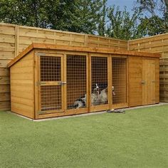 two dogs are sitting in their kennels on the grass near a wooden fence