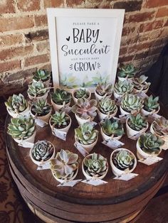 small succulents are arranged on top of an old barrel with a sign in the background