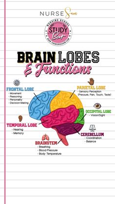 the brain and functions of the human body are shown in this diagram, which shows how they