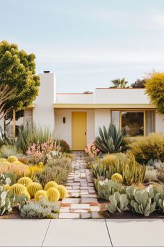 a house with cactus and succulents in the front yard