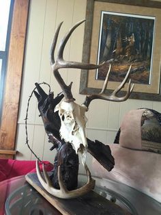 a deer skull on top of a glass table