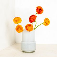 orange flowers are in a white vase on a countertop against a white wall background