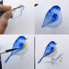 the process of painting a blue bird with watercolors is shown in four different stages