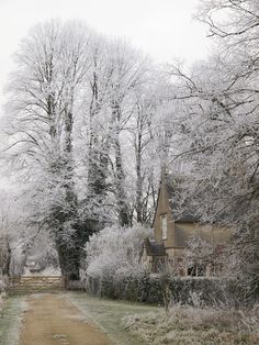 an old country house in winter with snow on the ground and trees lining the path