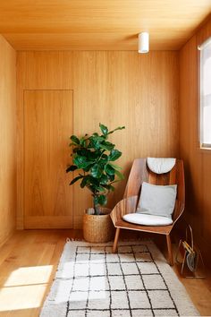 a chair and potted plant in the corner of a room with wood paneling