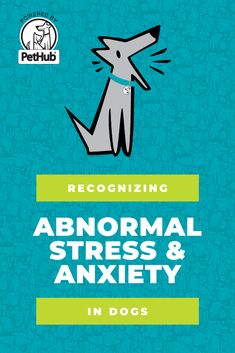 Recognizing the signals of Abnormal Stress in Dogs can help Pet Parents understand what their dog is trying to communicate with them and how to help. Check out this informative article for additional information. Behavior Modification, Family Members, Blog Posts, Lost