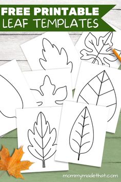 free printable leaf templates for kids to color and cut out with leaves on them