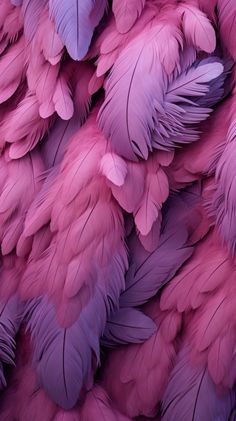 the feathers are pink and purple in color