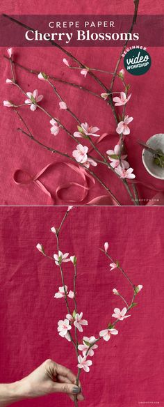 Video Workshop: Beginner Crepe Cherry Blossom Branches - Lia Griffith - created via https://pinthemall.net