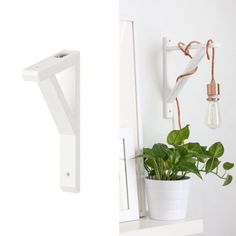 there is a potted plant on the shelf next to an electrical outlet and a light bulb