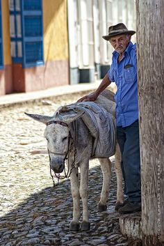 a man standing next to a donkey on a cobblestone street