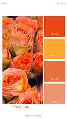 the color scheme for coral and orange roses