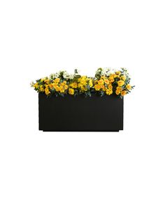 yellow and white flowers are in a black planter on a white background with clippings