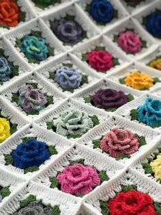 a crocheted blanket with multicolored flowers on it's edges and squares