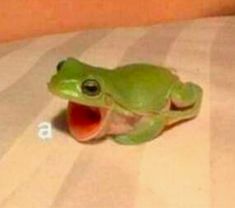 a green frog with it's mouth open sitting on a bed and looking at the camera