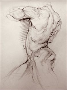 a pencil drawing of a man's torso