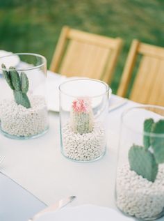 there is a small cactus in the middle of two glass vases on top of a table