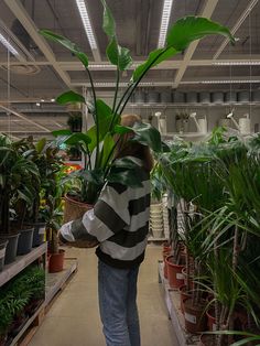 a woman carrying a basket full of plants in a plant shop with lots of potted plants