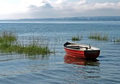 a small red boat floating on top of a lake next to tall grass and reeds