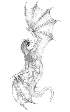 a black and white drawing of a dragon