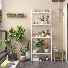 a room filled with lots of plants on top of a wooden floor next to a window