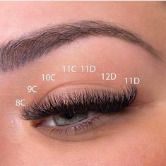 Short Eyelash Extensions Mapping, Classic Cat Eye Mapping, Short Lash Mapping, Short Classic Lash Extensions Mapping, Short Hybrid Lash Extensions Mapping, Short Cat Eye Lash Extensions Map, Short Volume Cat Eye Lash Extensions, Short Russian Lashes, Short Lash Extensions Mapping