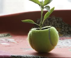 a tennis ball shaped planter sitting on top of a red cloth covered tablecloth