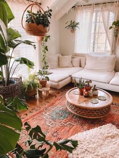 a living room filled with lots of plants and furniture