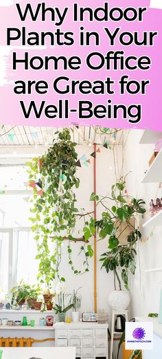 Are you ready to transform your home office into an oasis of productivity and well-being? 🌿 Dive into our comprehensive guide on the incredible benefits of indoor plants for your home office, including increased concentration, improved air quality, and a calming environment. Embrace the wonders of nature and watch your work thrive!