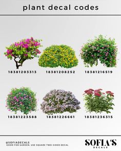 various types of flowers and shrubs in different colors