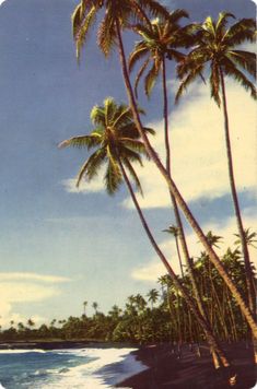 a painting of palm trees on the shore of a tropical island with blue water and white clouds