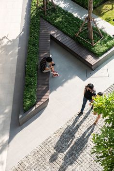 two people are standing in the middle of an outdoor area with green plants and trees