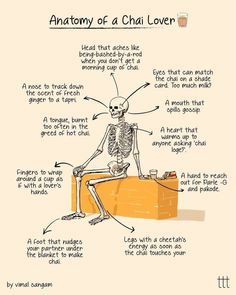 the anatomy of a chai lover skeleton sitting on an orange chair with its caption below