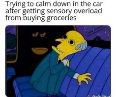 a cartoon character sitting in a car with the caption saying trying to calm down in the car after getting sensory overload from buying groceries