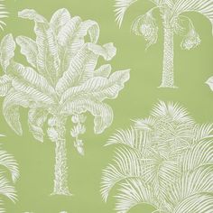 a green and white wallpaper with palm trees