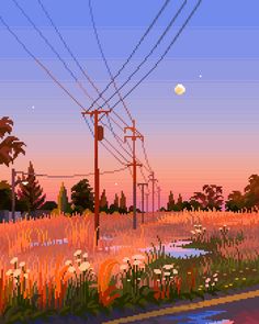 an image of power lines in the sky at sunset or dawn with flowers and grass