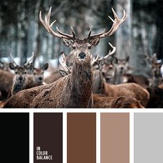 the color scheme is brown, gray and white with deer in the woods behind it