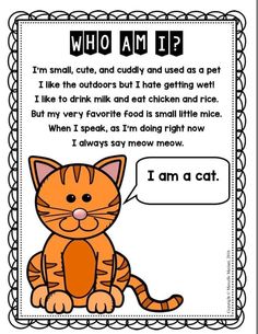 an orange cat with the words who am i?