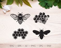 bees and honeycombs svg files